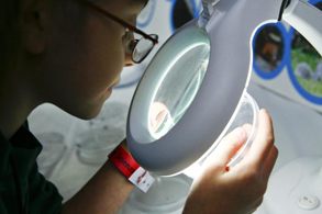 Tinte a calce e a tempera, come riflettono la luce